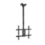 Tooq Soporte de Techo para Pantallas 32-75 Pulgadas Negro
