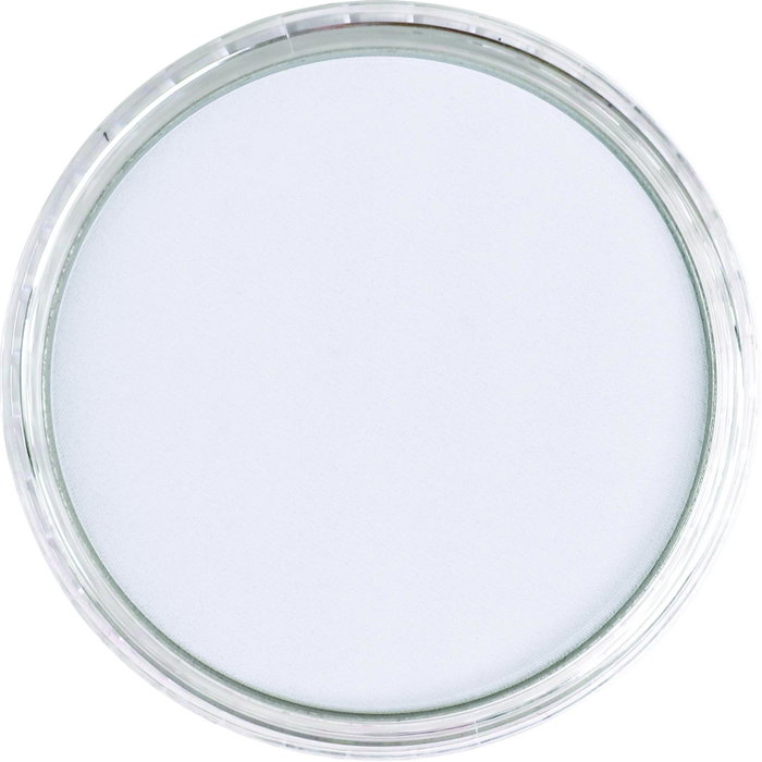 Panpastel 840.8 Tinte Gris De Payne