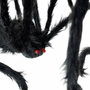 My Other Me Araña Negra 28 x 43 Cm