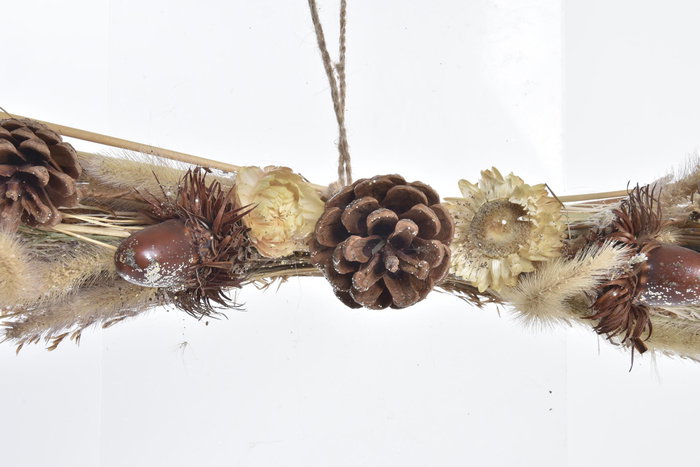 DKD Home Decor Decoración Colgante Flor Seca PUE Surtido de 2 Unidades DKD Home Decor Decoración Colgante Flor Seca PUE Surtido de 2 Unidades