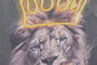 DKD Home Decor Cuadro LED Lienzo León Tigre Surtido de 2 Unidades