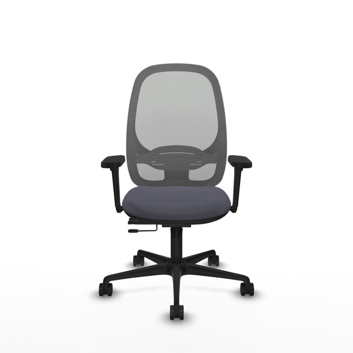 PIQUERAS Y CRESPO Silla de oficina Cilanco Gris con Brazos 3D PIQUERAS Y CRESPO Silla de oficina Cilanco Gris con Brazos 3D