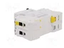 SCHNEIDER ELECTRIC Interruptor magnetotérmico iC60N 13A 2 polos