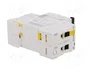 SCHNEIDER ELECTRIC Interruptor magnetotérmico iC60N 13A 2 polos