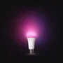 Philips Hue AABUO37028 Bombilla LED Conectada A67 E27 11.8W Luz Blanca Cálida 1000-2000K 1600 Lúmenes