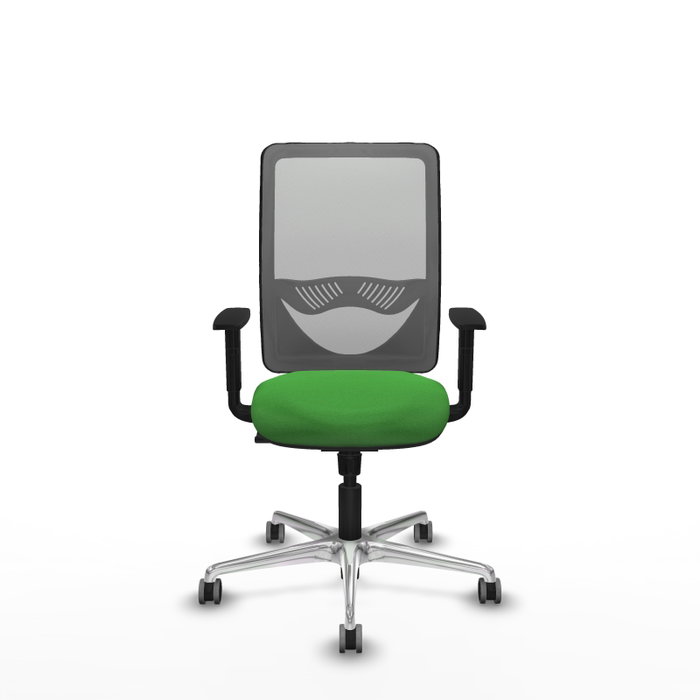 PIQUERAS Y CRESPO Silla de oficina Zulema con mecanismo Sincro, Verde y Gris