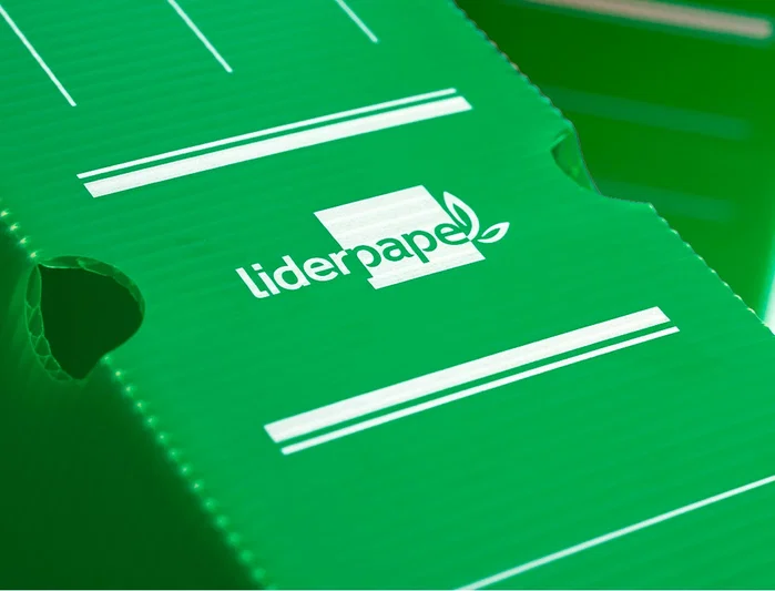 Liderpapel Caja archivo definitivo plástico lomo 100 mm verde