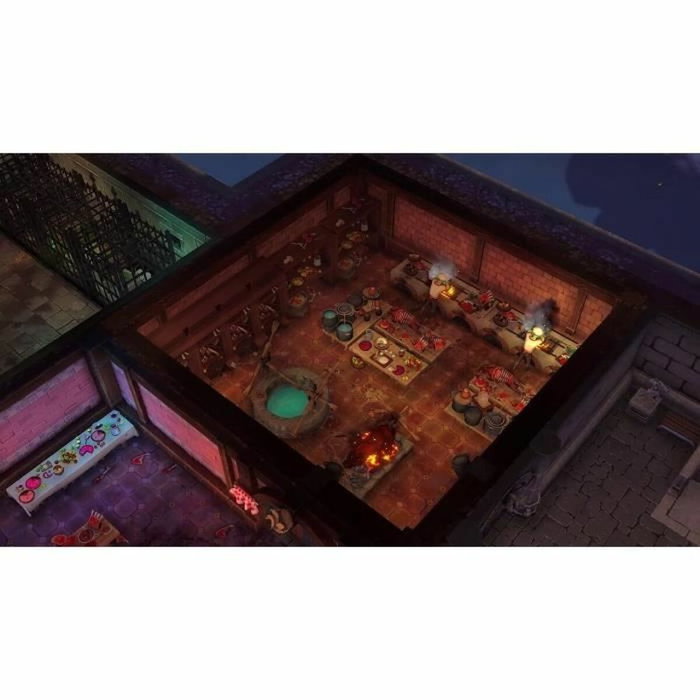 Microids The Dungeon Master of Naheulbeuk - Edición limitada - Nintendo Switch