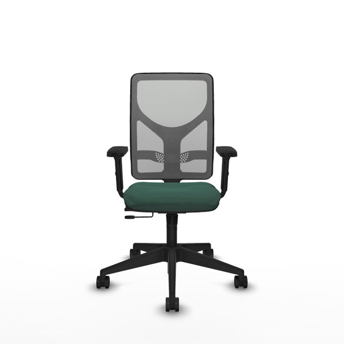 PIQUERAS Y CRESPO Silla de oficina Motilla con mecanismo Sincro/Traslack, Verde botella y Gris PIQUERAS Y CRESPO Silla de oficina Motilla con mecanismo Sincro/Traslack, Verde botella y Gris