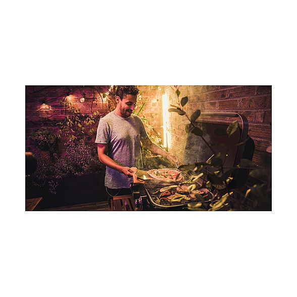 CAMPINGAZ 2100 EX Parrilla de Gas 5000W Superficie 2100cm² Mesa para Exterior CAMPINGAZ 2100 EX Parrilla de Gas 5000W Superficie 2100cm² Mesa para Exterior