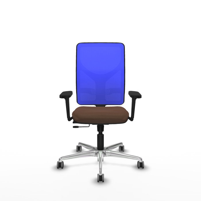 PIQUERAS Y CRESPO Silla de oficina Motilla con mecanismo Sincro/Traslack, Marrón oscuro y Azul PIQUERAS Y CRESPO Silla de oficina Motilla con mecanismo Sincro/Traslack, Marrón oscuro y Azul