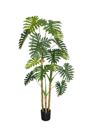 DKD Home Decor Philodendron Verde