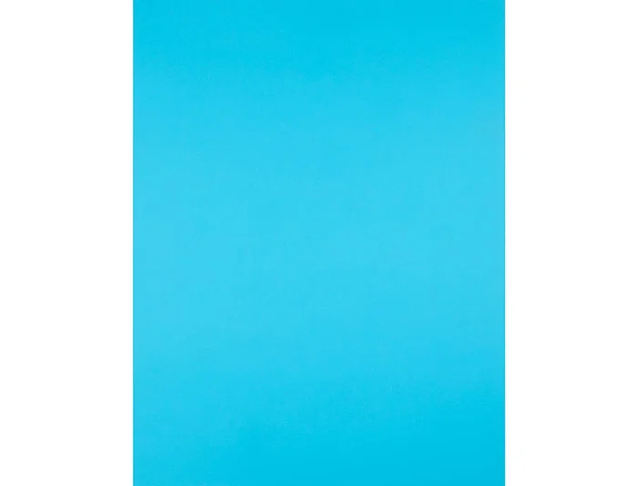 Liderpapel Cartulina 50x65 cm 240g/m2 Celeste Paquete de 25 Hojas para Dibujo y Manualidades