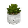 Home Deco Factory Little Garden Planta Carnosa Artificial en Maceta de Cemento Decorada Medidas d.5,5 cm; h.10 cm