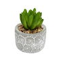 Home Deco Factory Little Garden Planta Carnosa Artificial en Maceta de Cemento Decorada Medidas d.5,5 cm; h.10 cm