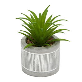 Home Deco Factory Little Garden Planta Carnosa Artificial en Maceta de Cemento Decorada Medidas d.5,5 cm; h.10 cm