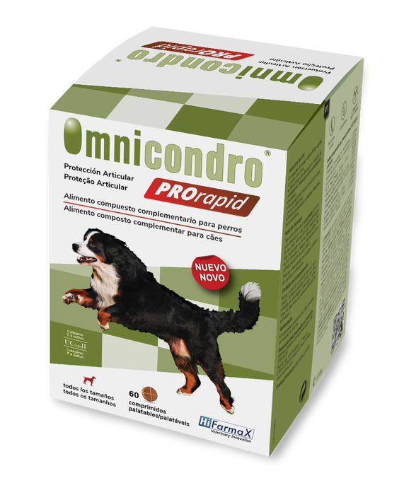 Hifarmax Omnicondro Pro Rapid 60 cápsulas, Suplemento Articular para Perros con Glucosamina y Condroitina Hifarmax Omnicondro Pro Rapid 60 cápsulas, Suplemento Articular para Perros con Glucosamina y Condroitina