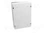 ELEKTRO-PLAST NASIELSK Carcasa de pared INDUSTRIAL SR gris