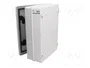 ELEKTRO-PLAST NASIELSK Carcasa de pared INDUSTRIAL SR gris