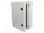 ELEKTRO-PLAST NASIELSK Carcasa de pared INDUSTRIAL SR gris