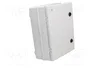 ELEKTRO-PLAST NASIELSK Carcasa de pared INDUSTRIAL SR gris