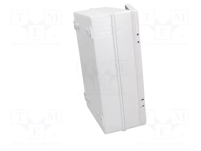 ELEKTRO-PLAST NASIELSK Carcasa de pared INDUSTRIAL SR gris ELEKTRO-PLAST NASIELSK Carcasa de pared INDUSTRIAL SR gris