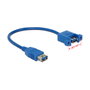 DeLOCK Cable USB 3.2 Gen 1 Hembra a Hembra 25 cm Azul