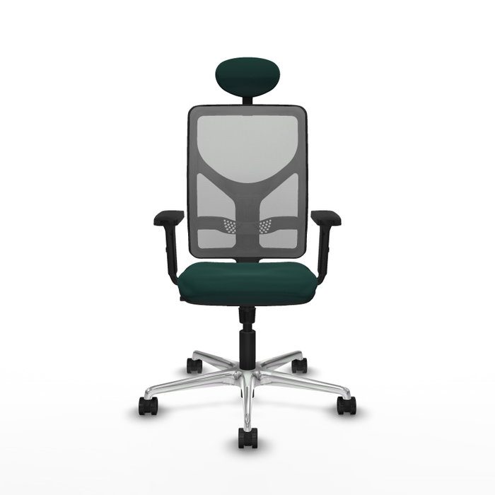 PIQUERAS Y CRESPO Silla de oficina Motilla con mecanismo Sincro, Verde botella y Gris PIQUERAS Y CRESPO Silla de oficina Motilla con mecanismo Sincro, Verde botella y Gris