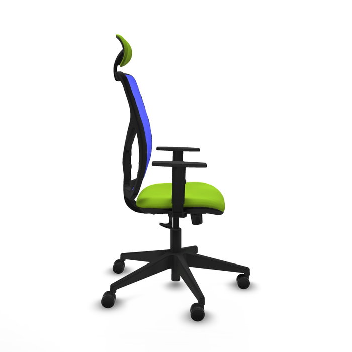 PIQUERAS Y CRESPO Silla de oficina Motilla con mecanismo Sincro, Pistacho y Azul