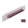 DeLOCK Panel de conexión de fibra óptica 12 puertos SC Simplex 10″ Gris/Violeta