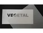 Diamant Papel vegetal rollo 1.10x20 m, 110-115 gr, para dibujo a lápiz, tinta, rotulador, estilógrafos y microfirmado