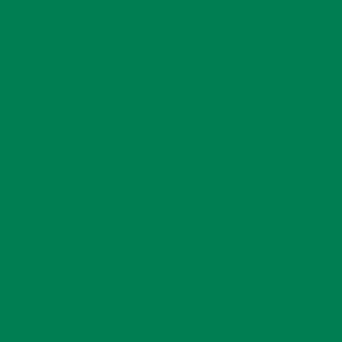 Cricut Smart Vinilo Permanente Verde Mate Cricut Smart Vinilo Permanente Verde Mate