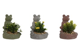 DKD Home Decor Planta de Cemento Rana Surtido de 3 Unidades