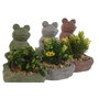 DKD Home Decor Planta de Cemento Rana Surtido de 3 Unidades