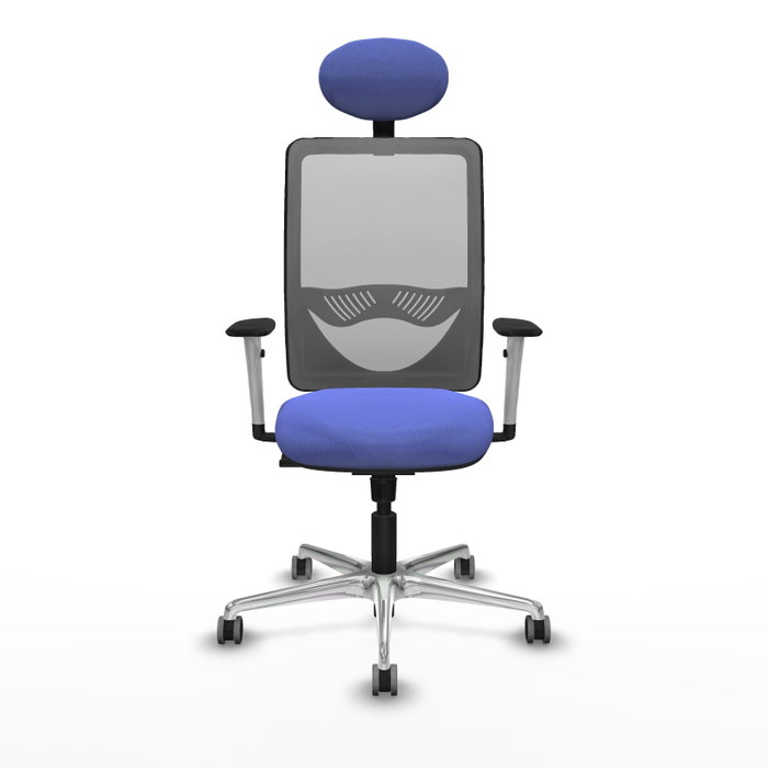 PIQUERAS Y CRESPO Silla de oficina Zulema con mecanismo Sincro, Azul claro y Gris PIQUERAS Y CRESPO Silla de oficina Zulema con mecanismo Sincro, Azul claro y Gris