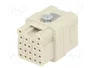 HARTING Han Q plantilla de contacto hembra HDC