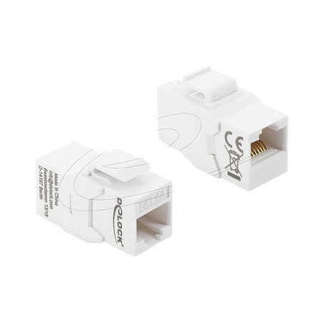 DeLOCK 90991 Módulo Keystone RJ45 hembra a RJ45 hembra Cat.6A blanco DeLOCK 90991 Módulo Keystone RJ45 hembra a RJ45 hembra Cat.6A blanco
