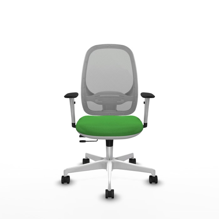 PIQUERAS Y CRESPO Silla de oficina Cilanco con mecanismo Sincro/Traslack Verde y Gris PIQUERAS Y CRESPO Silla de oficina Cilanco con mecanismo Sincro/Traslack Verde y Gris