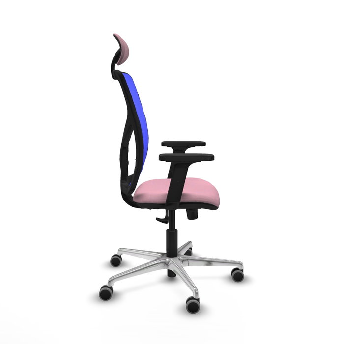 PIQUERAS Y CRESPO Silla de oficina Motilla con mecanismo Sincro, Rosa y Azul PIQUERAS Y CRESPO Silla de oficina Motilla con mecanismo Sincro, Rosa y Azul