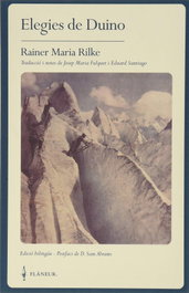 FLANEUR, Elegías de Duino, Rainer Maria Rilke - FLANEUR