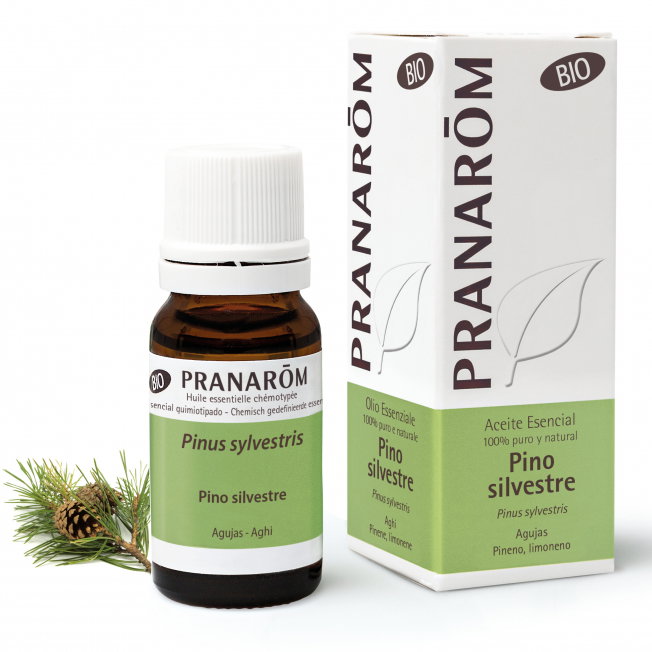 PRANAROM Aceite Esencial Pino Silvestre BIO 10ml PRANAROM Aceite Esencial Pino Silvestre BIO 10ml