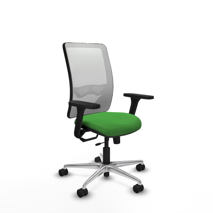 PIQUERAS Y CRESPO Silla de oficina Zulema con mecanismo Sincro/Traslack, Verde y Blanco PIQUERAS Y CRESPO Silla de oficina Zulema con mecanismo Sincro/Traslack, Verde y Blanco