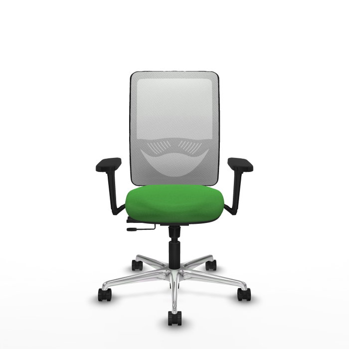 PIQUERAS Y CRESPO Silla de oficina Zulema con mecanismo Sincro/Traslack, Verde y Blanco PIQUERAS Y CRESPO Silla de oficina Zulema con mecanismo Sincro/Traslack, Verde y Blanco