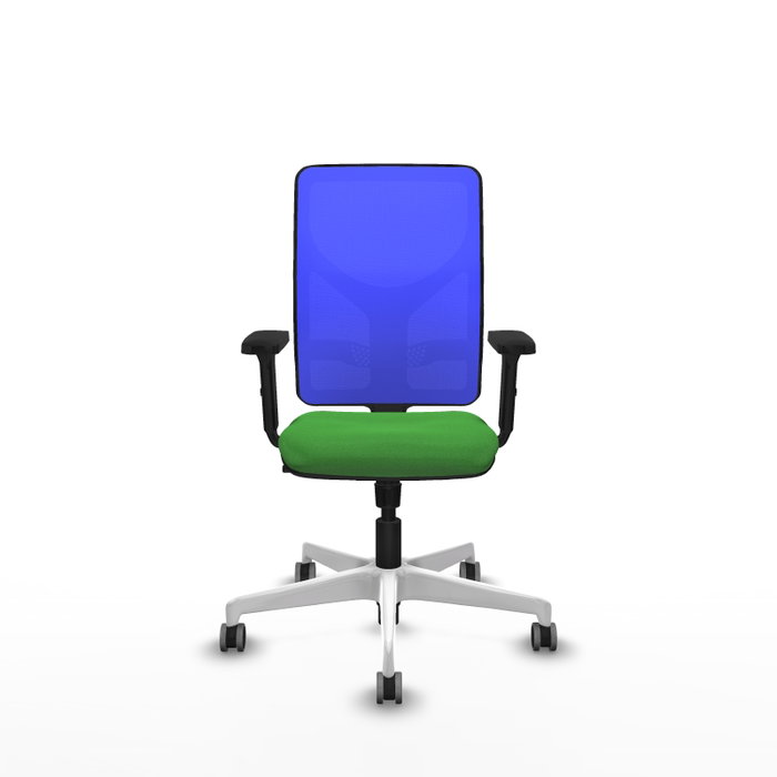 PIQUERAS Y CRESPO Silla de oficina Motilla con mecanismo Sincro, Verde y Azul PIQUERAS Y CRESPO Silla de oficina Motilla con mecanismo Sincro, Verde y Azul