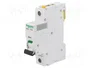 SCHNEIDER ELECTRIC iC60N Interruptor magnetotérmico 25A 1P Característica C