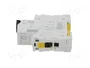 SCHNEIDER ELECTRIC iC60N Interruptor magnetotérmico 25A 1P Característica C