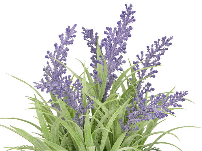 IBERGARDEN Maceta Cilindro Lavanda Surtidos 15 cm x 21 cm x 15 cm Morado Verde (Set de 36)