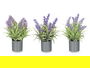 IBERGARDEN Maceta Cilindro Lavanda Surtidos 15 cm x 21 cm x 15 cm Morado Verde (Set de 36)