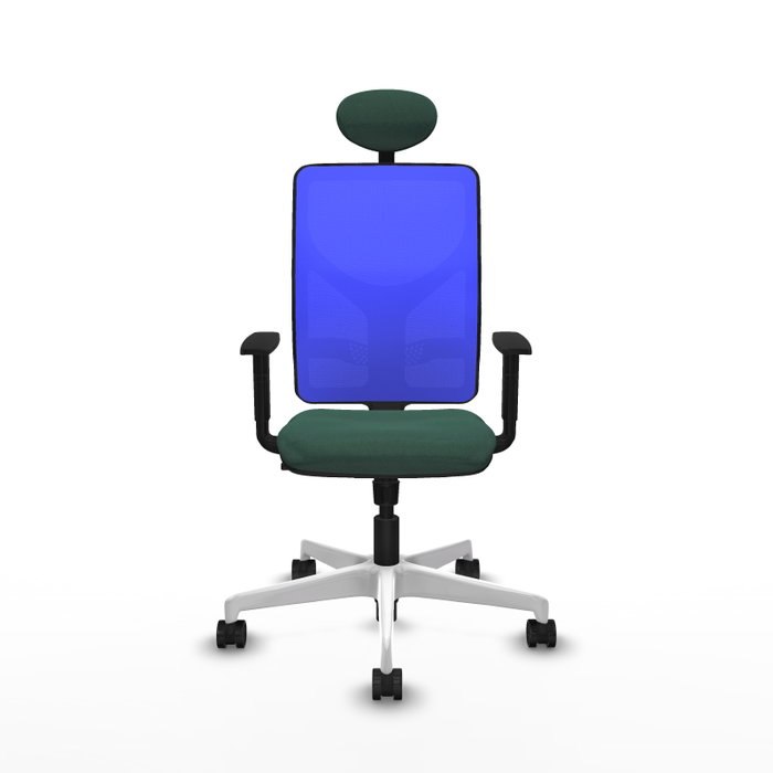 PIQUERAS Y CRESPO Silla de oficina Motilla con mecanismo Sincro, Verde botella y Azul