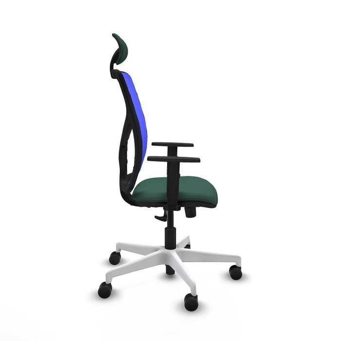 PIQUERAS Y CRESPO Silla de oficina Motilla con mecanismo Sincro, Verde botella y Azul